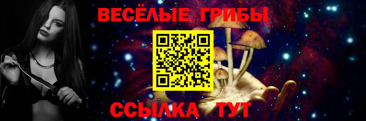 как найти закладки  Псилоцибиновые грибы Psilocybe  Вход с VPN  Ялуторовск 